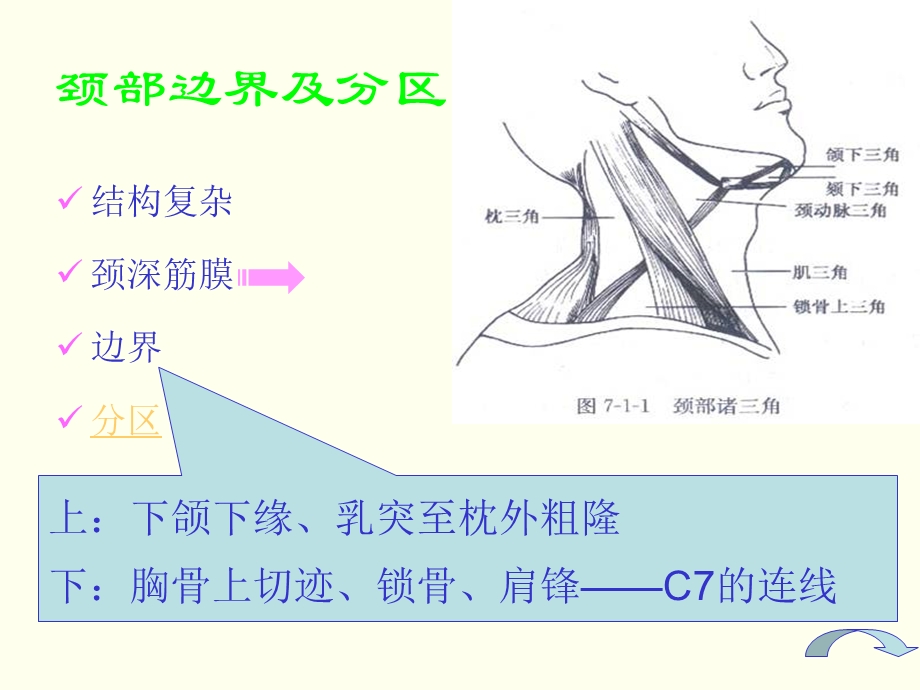 《颈部包块》课件.ppt_第2页