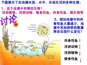 《群落结构》课件.ppt