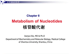 核苷酸代谢生物化学与分子生物学课件.ppt