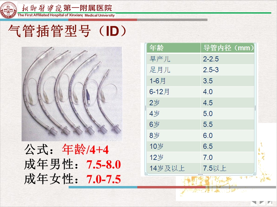 气管插管内吸痰技术完整版课件.pptx_第1页