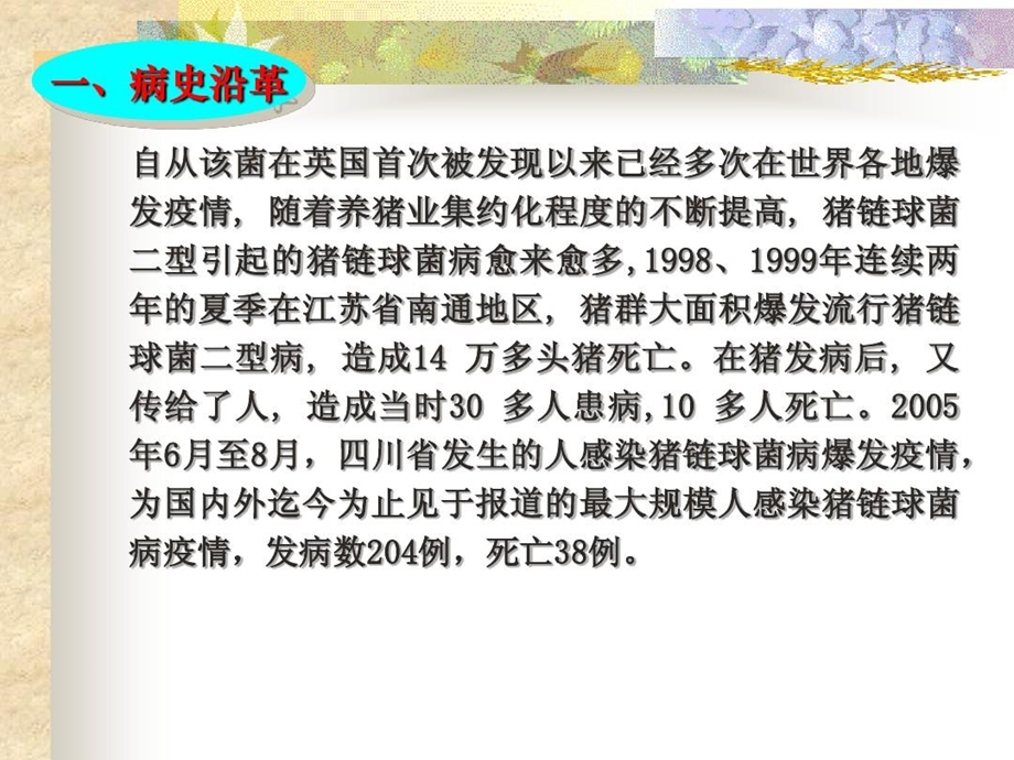 猪链球菌病及其防控课件.ppt_第2页