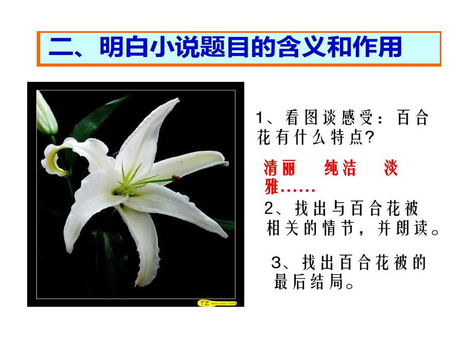 百合花人物刻画课件.ppt_第3页