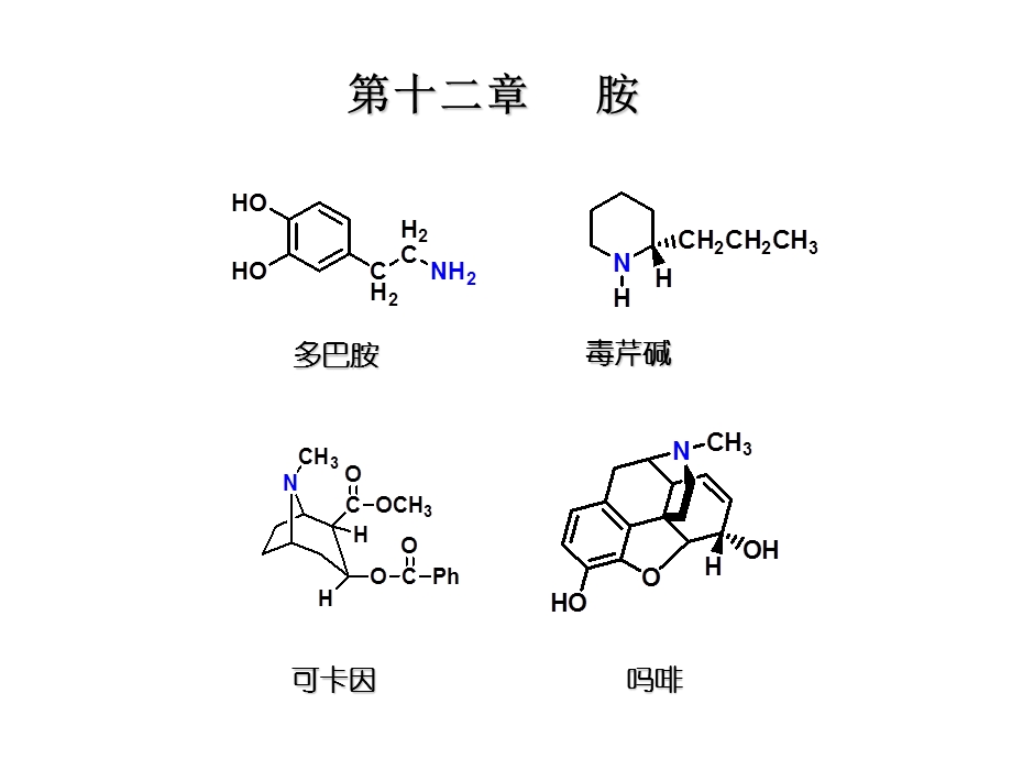 有机化学-胺--课件.ppt_第2页