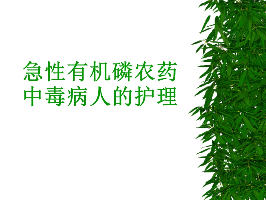 急性有机磷农药中毒病人的护理-课件.ppt_第1页