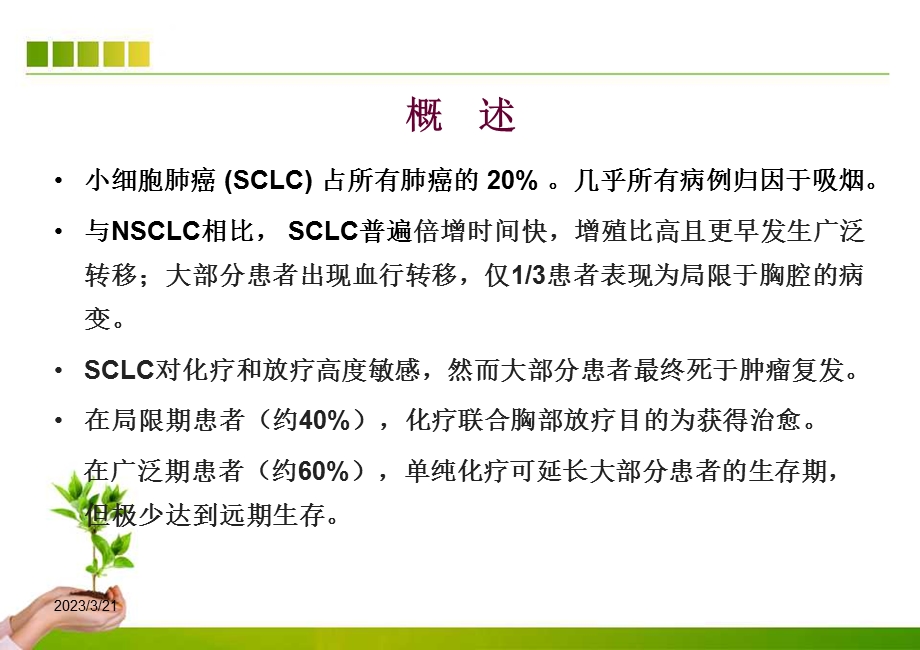 小细胞肺癌指南解读课件.ppt_第2页