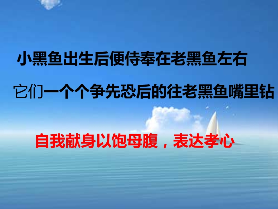 母爱的故事课件.ppt_第3页