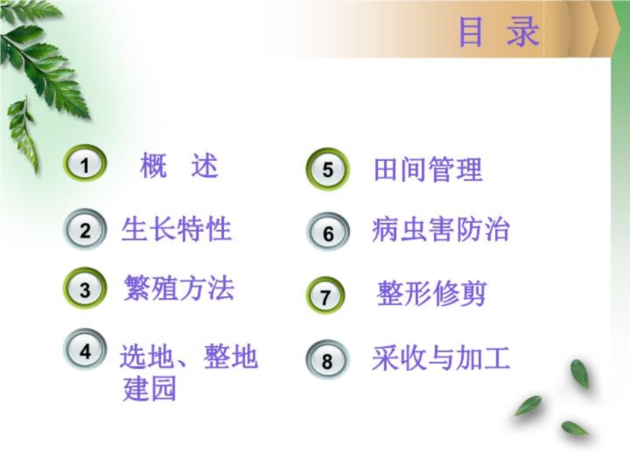 木瓜的栽培技术课件.ppt_第3页