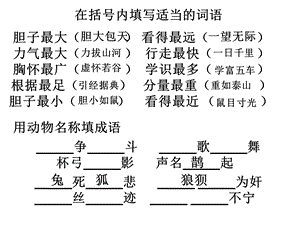 常见易错字词趣味语文题课件.ppt