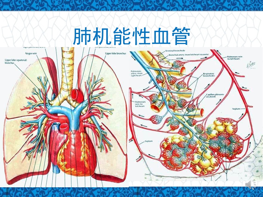 核医学培训课件：呼吸系统.pptx_第3页