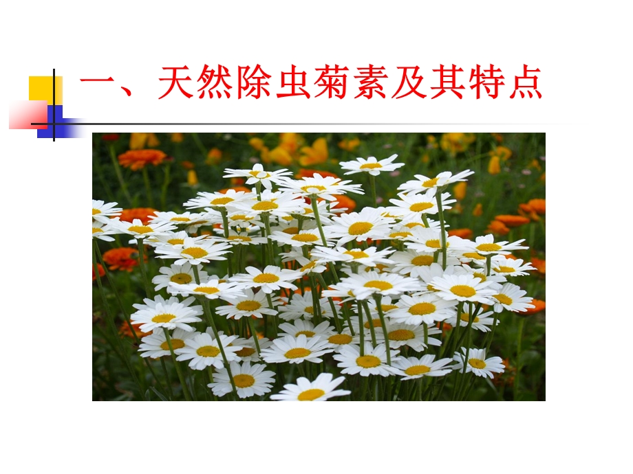 拟除虫菊酯类杀虫剂课件.ppt_第2页