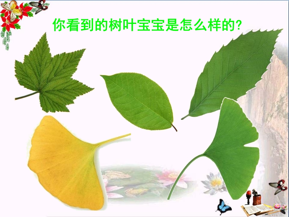 教科版科学三上《植物的叶》精品ppt课件.ppt_第2页