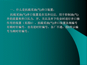 抗硫采油气井口装置课件.ppt