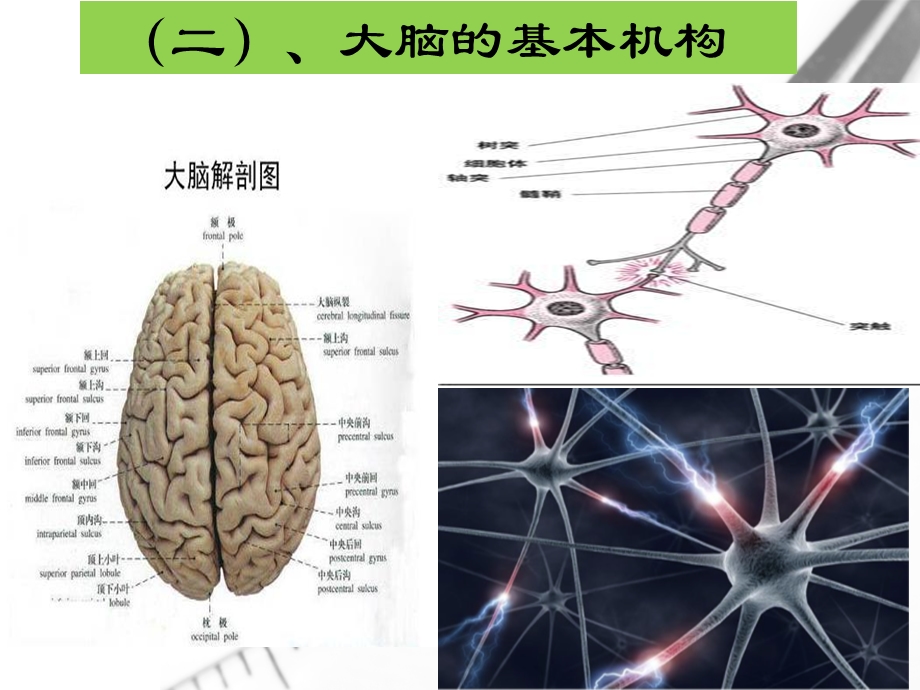 思维导图在学科中应用课件.pptx_第3页