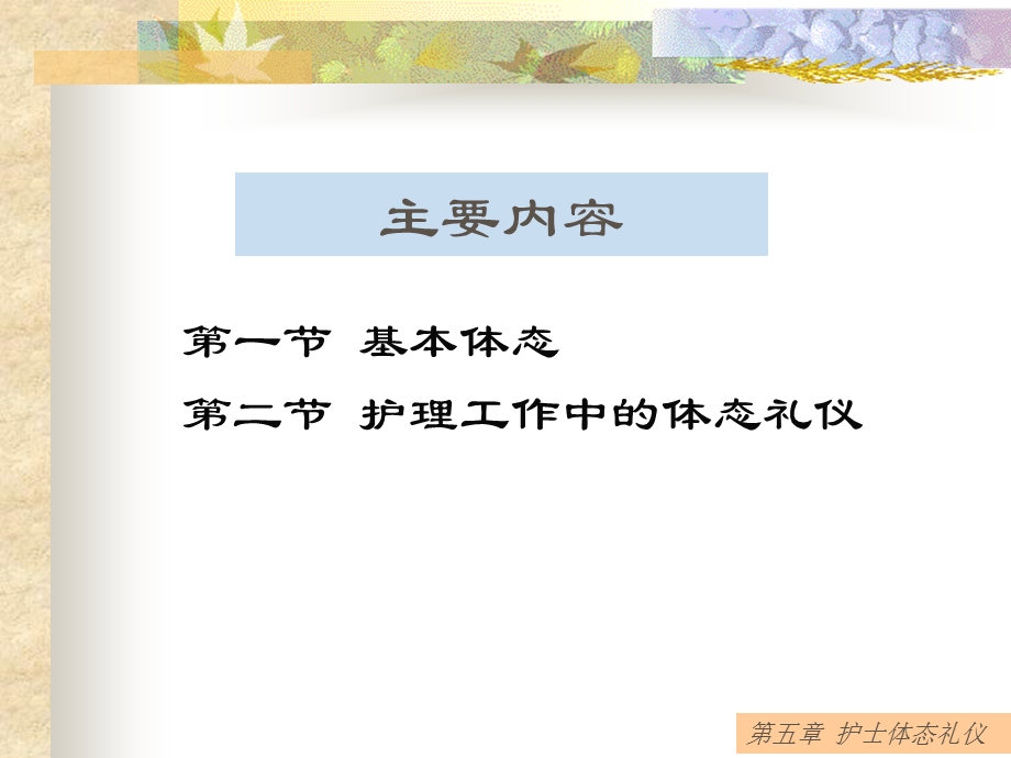 护士体态礼仪ppt课件.ppt_第2页