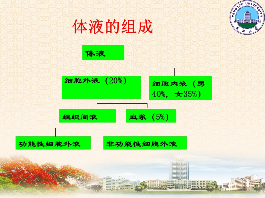 外科病人的体液失调2学时课件.ppt_第3页