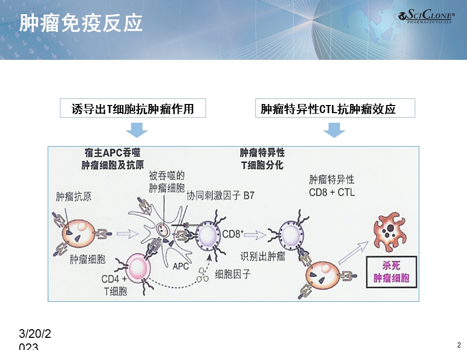 日达仙肿瘤科室会幻灯片课件.pptx_第2页