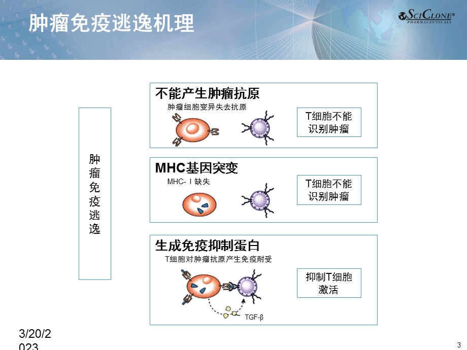 日达仙肿瘤科室会幻灯片课件.pptx_第3页