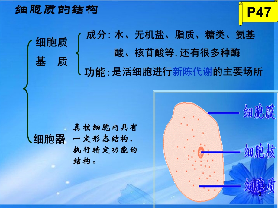 高一生物《32细胞器-系统内的分工合作》ppt课件-新人教版.ppt_第3页