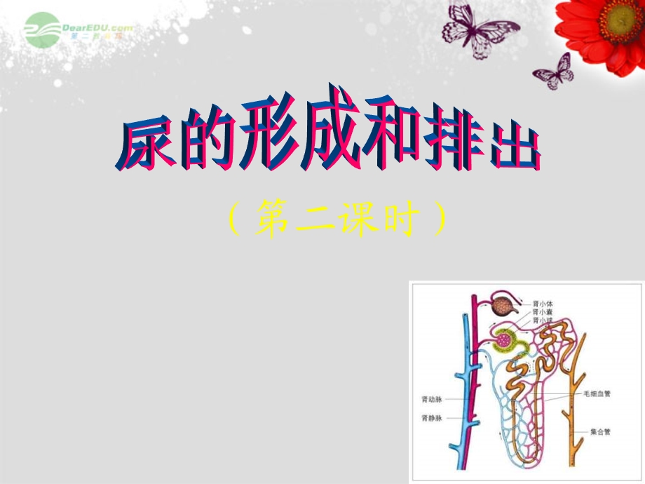 七年级生物册十一人体废物的排出二(二课时)北师大版课件.ppt_第1页