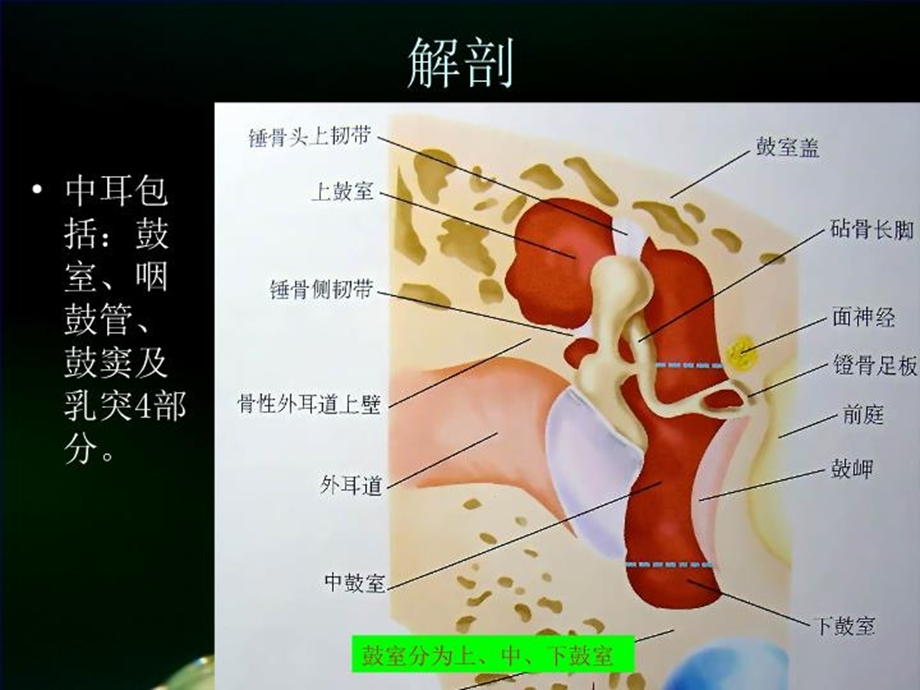 中耳炎的护理课件.ppt_第3页