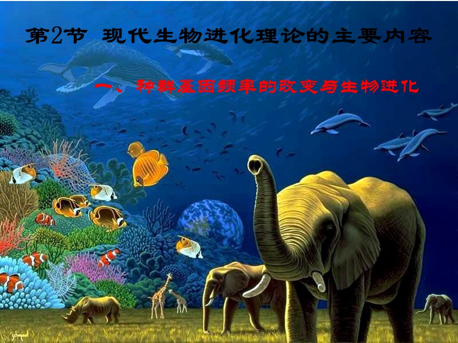 现代生物进化理论的主要内容讲课ppt课件.ppt_第1页