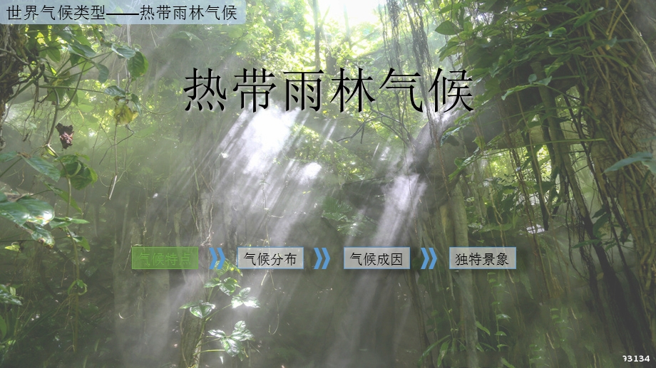 热带雨林气候详解PPT资料课件.ppt_第3页