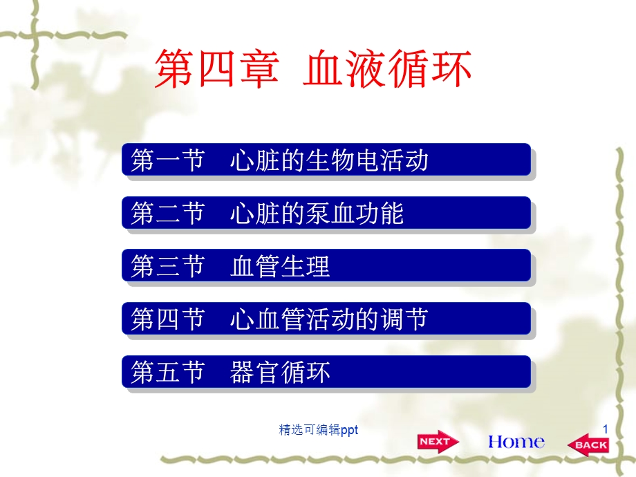 心血管生理学.ppt_第1页