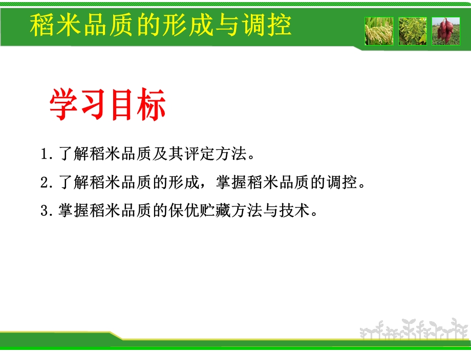 外观品质稻米品质的形成与调控垩白-多元化评价系统课件.ppt_第2页