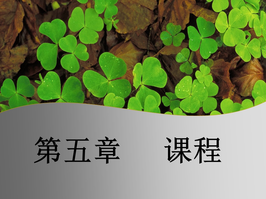 教育学课件课程.ppt_第1页