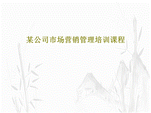 某公司市场营销管理培训课程课件.ppt