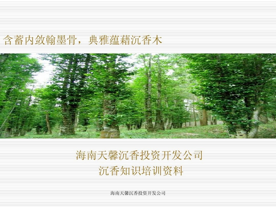 沉香知识培训资料课件.ppt_第1页