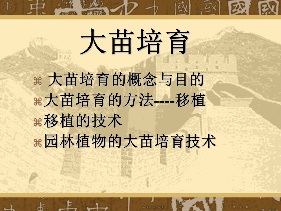 大苗培育课件.ppt_第2页