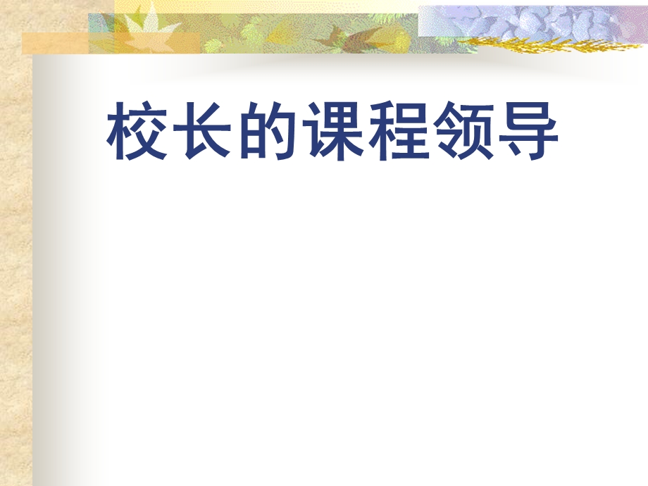 校长的课程领导专题培训课件.ppt_第1页