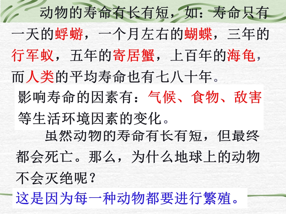 浙教版七年级科学下册13动物的生长时期ppt课件.ppt_第3页