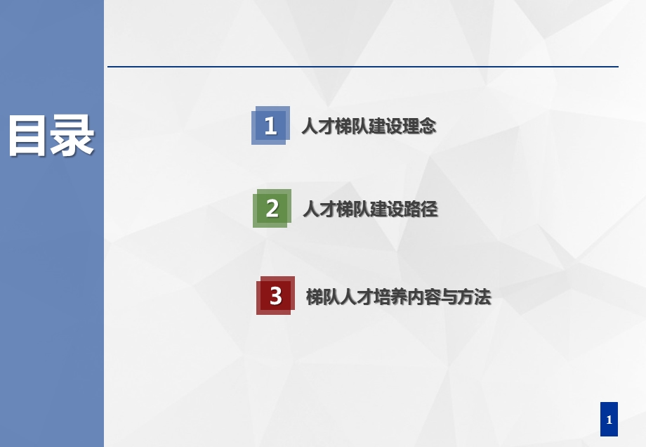 标杆地产集团人力培训人力行政部人才梯队建设与人才培养课件.pptx_第2页