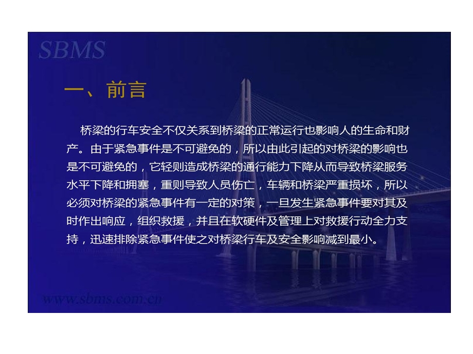 桥梁应急处置的资料课件.ppt_第2页