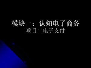 电子支付系统课件.ppt