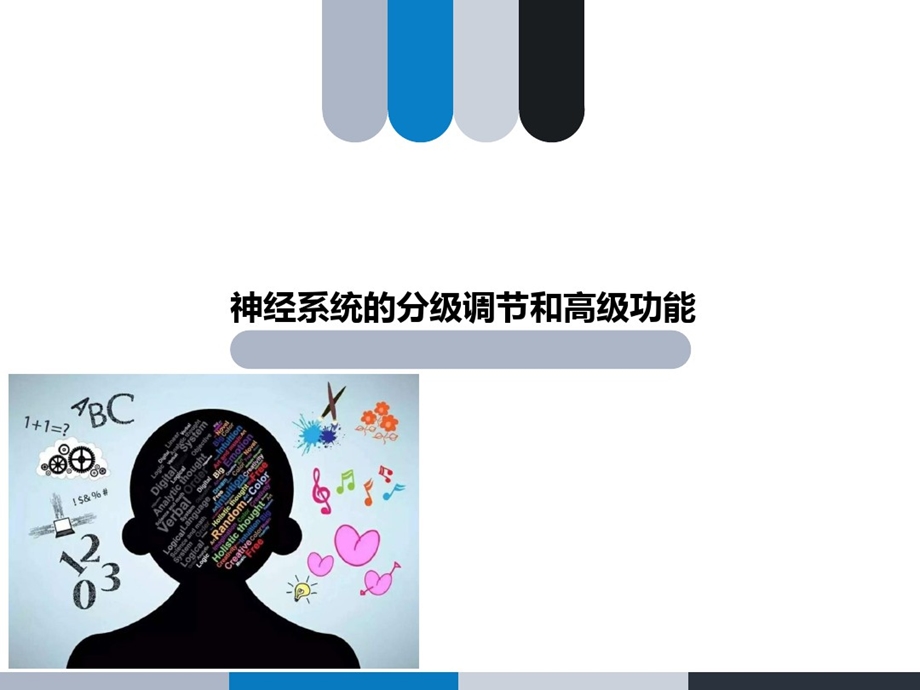 神经系统的分级调节和高级功能课件.ppt_第1页