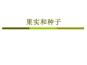 果实种子类药材课件.ppt