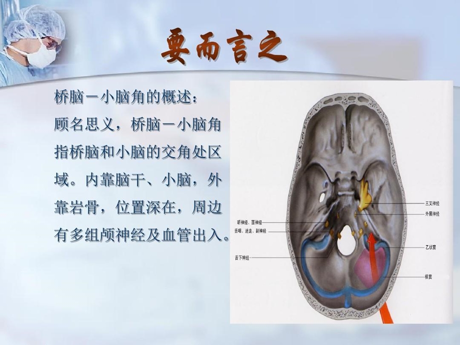 枕下乙状窦后入路局部解剖课件.ppt_第2页