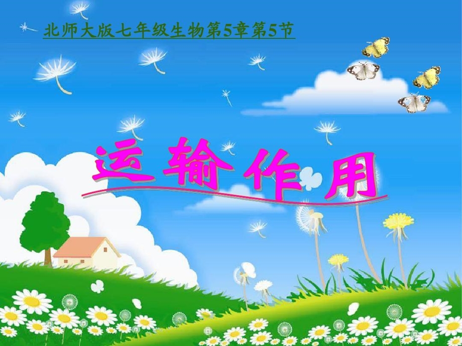 生物运输作用课件.ppt_第2页