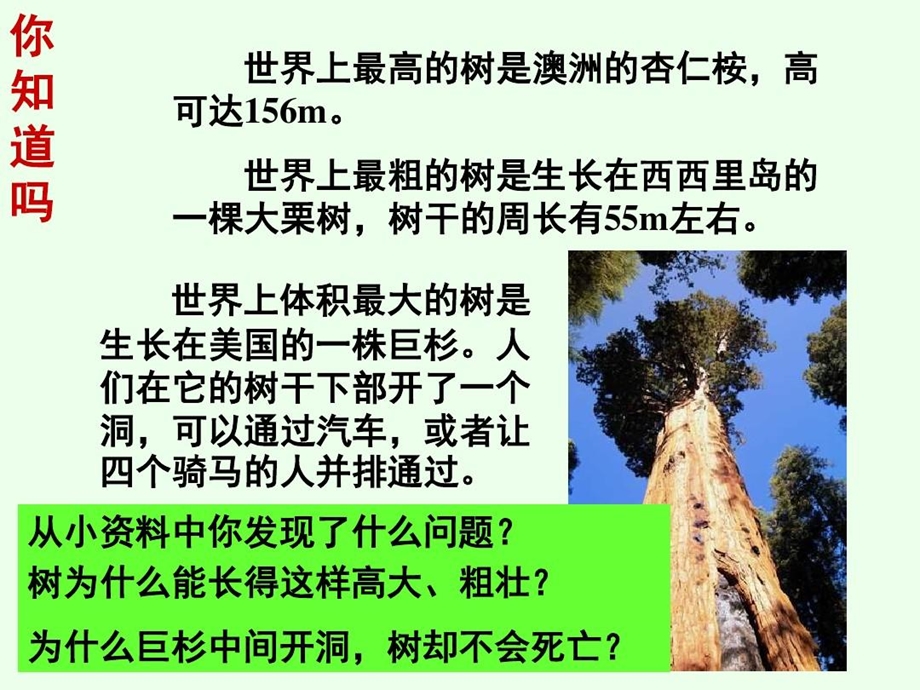 生物运输作用课件.ppt_第3页