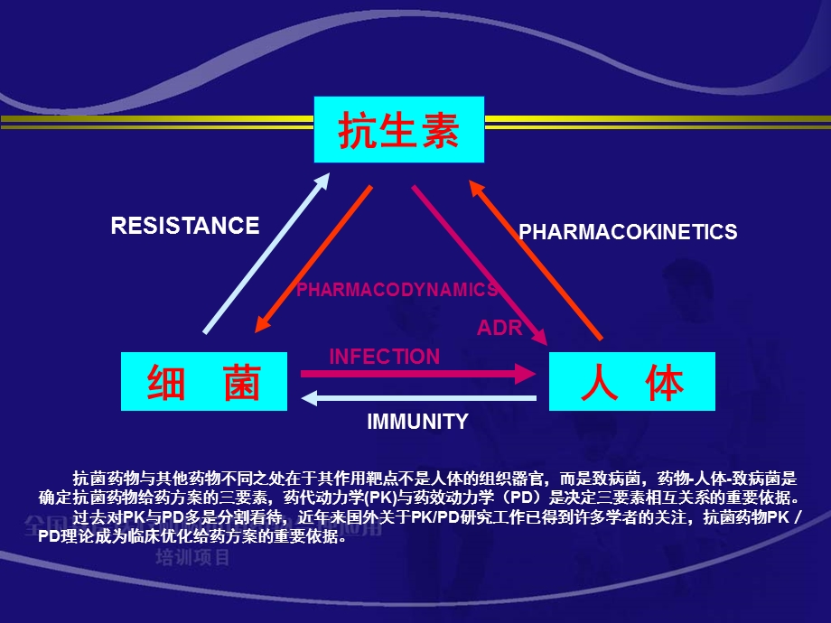 抗菌药物PK_PD与临床应用研究-课件.ppt_第3页