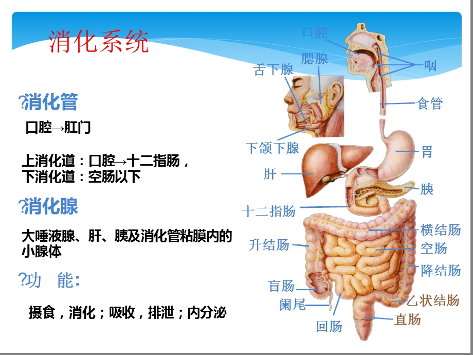 完整版消化道出血护理课件.ppt_第3页