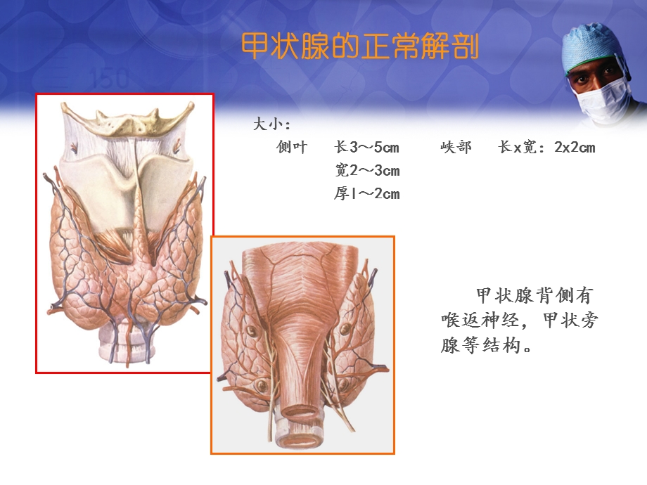 甲状腺结节的超声诊断与鉴别课件.ppt_第3页