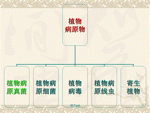 植物病原细菌课件.ppt