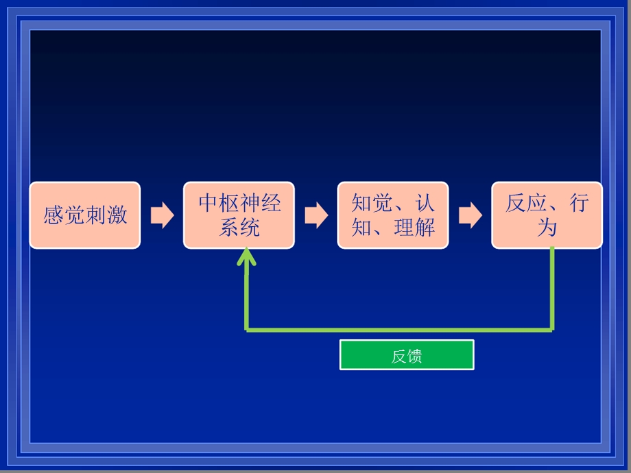 感觉统合与儿童发展课件.ppt_第3页