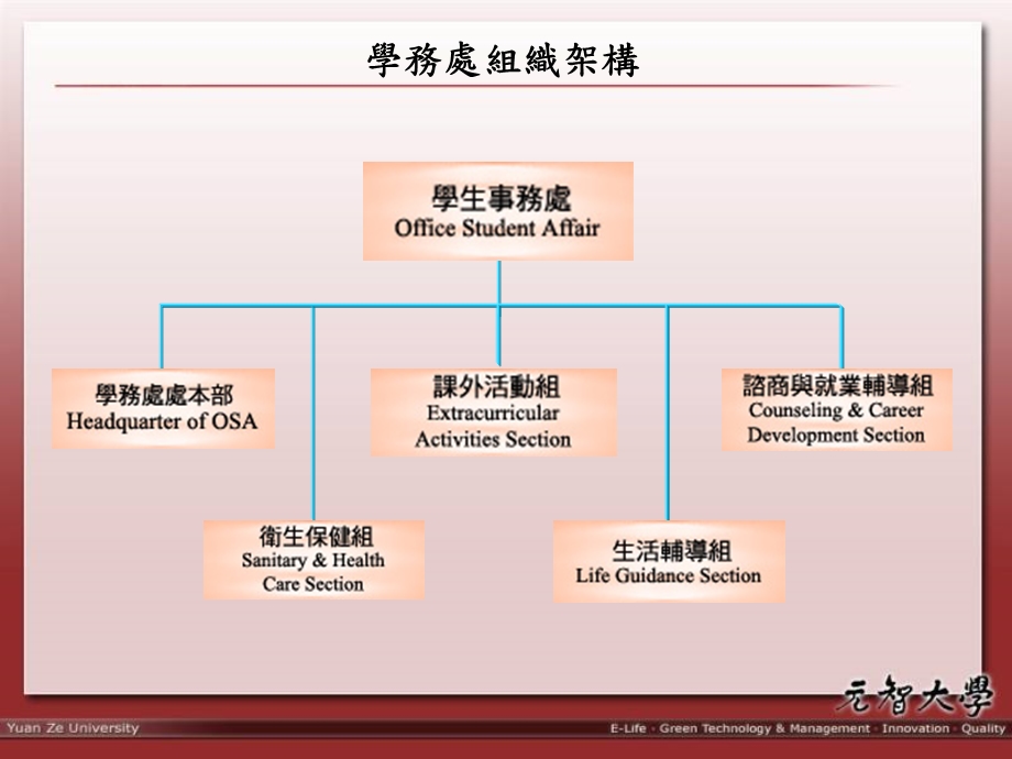 心理测验服务-田纳西自我概念量表课件.ppt_第2页