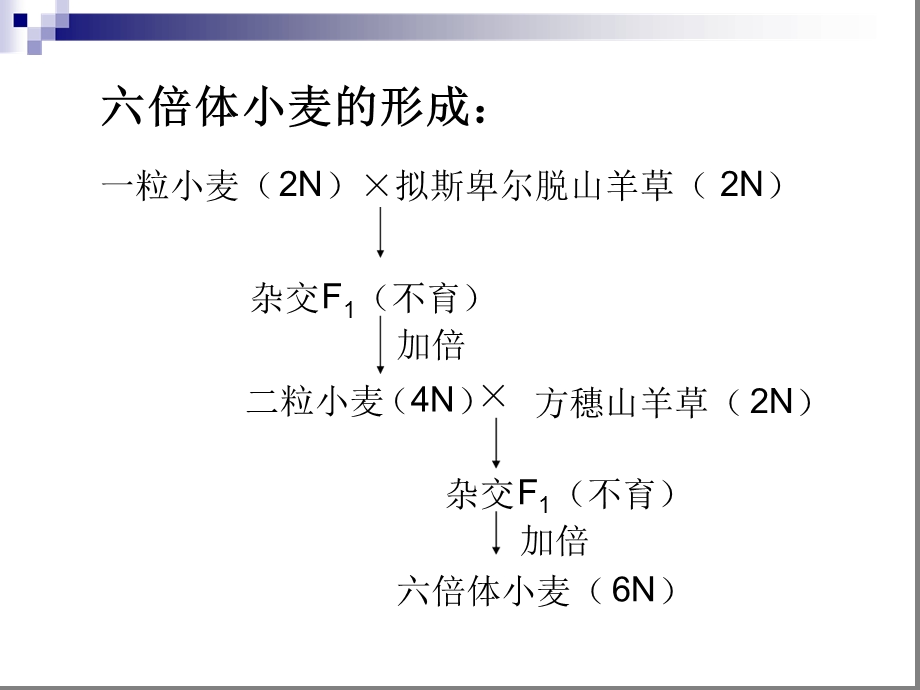 染色体变异在育种上的应用课件.ppt_第3页