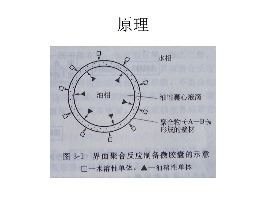 界面聚合技术在微胶囊制备中的应用课件.ppt_第2页